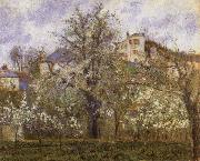 Camille Pissarro Vegetable Garden and Trees in Blossom oil painting reproduction